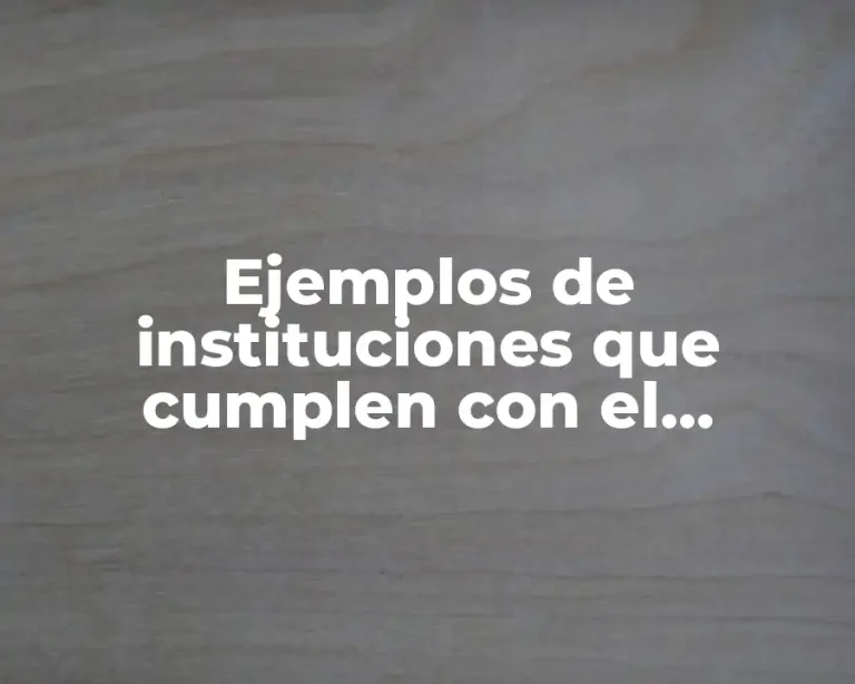 Ejemplos de instituciones que cumplen con el principio de igualdad