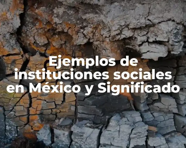 Ejemplos de instituciones sociales en México y Significado
