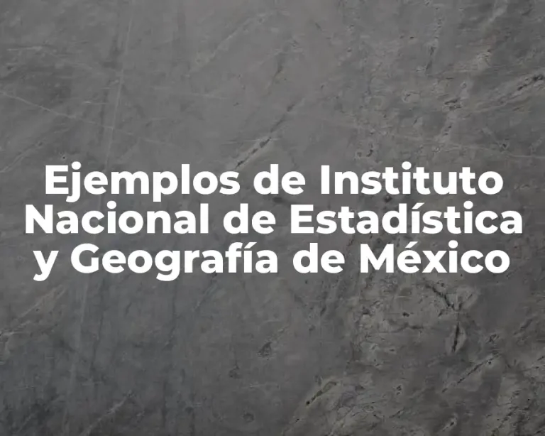 Ejemplos de Instituto Nacional de Estadística y Geografía de México