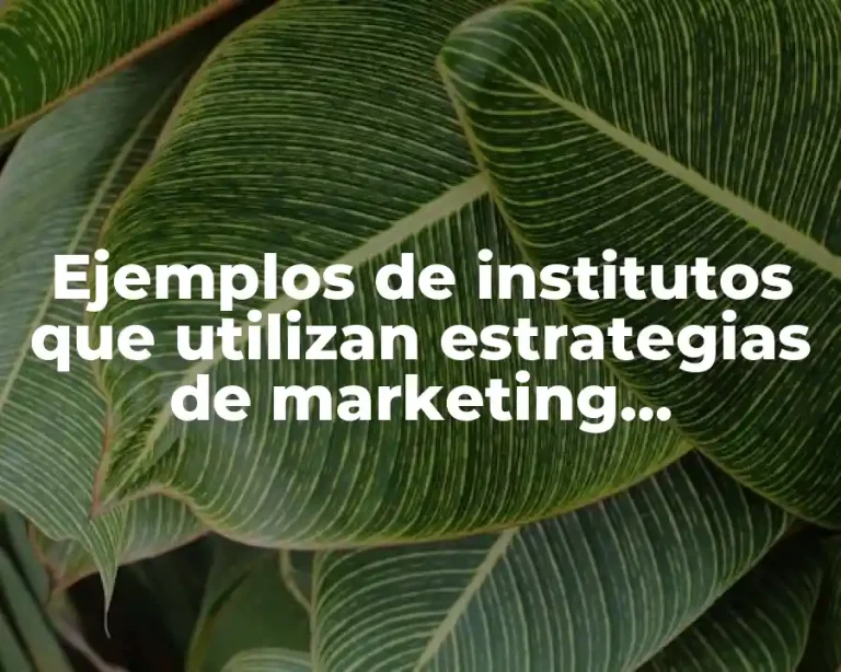 Ejemplos de institutos que utilizan estrategias de marketing promocional y Significado