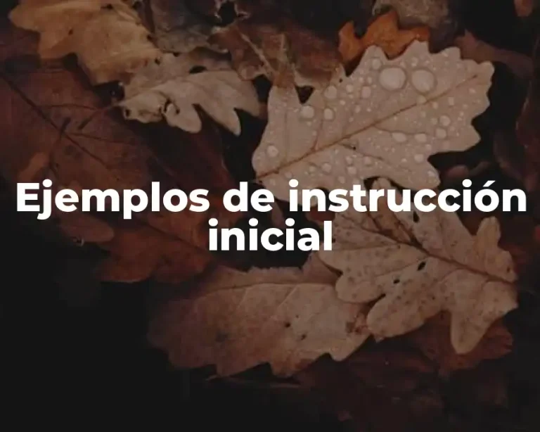Ejemplos de instrucción inicial
