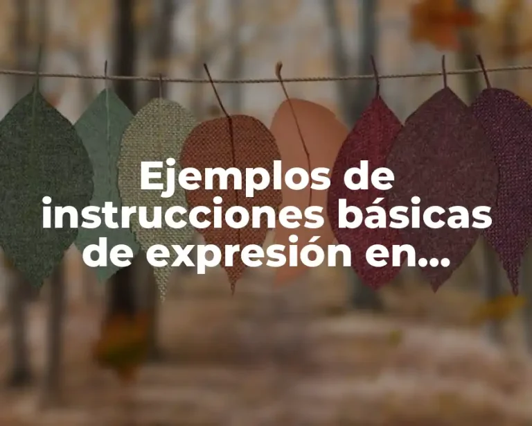 Ejemplos de instrucciones básicas de expresión en algoritmos y Significado