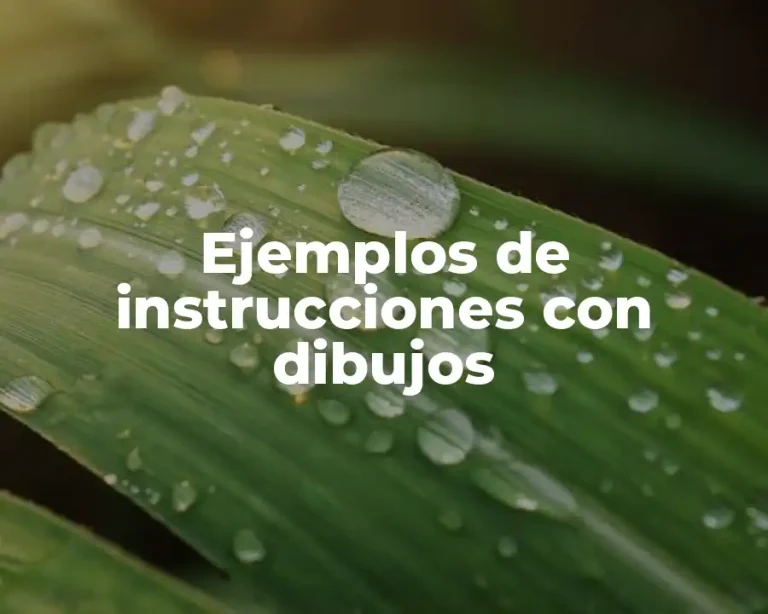 Ejemplos de instrucciones con dibujos