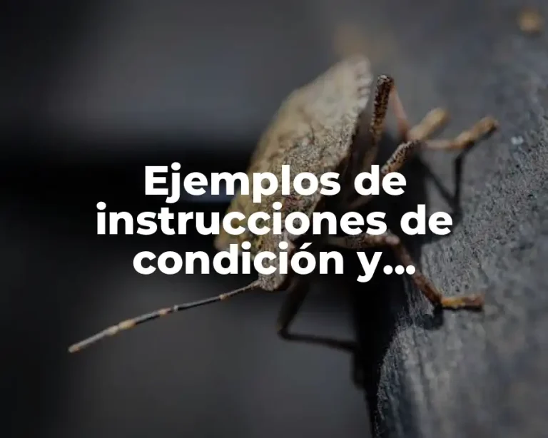 Ejemplos de instrucciones de condición y instrucciones de repetición