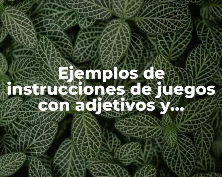 Ejemplos de instrucciones de juegos con adjetivos y adverbios