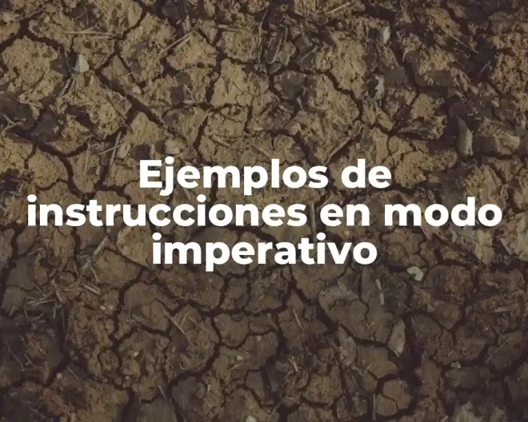 Ejemplos de instrucciones en modo imperativo