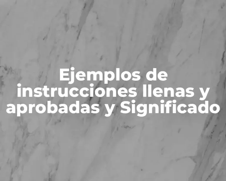 Ejemplos de instrucciones llenas y aprobadas y Significado
