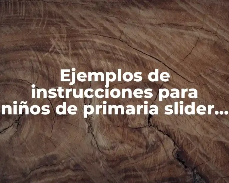 Ejemplos de instrucciones para niños de primaria slider share