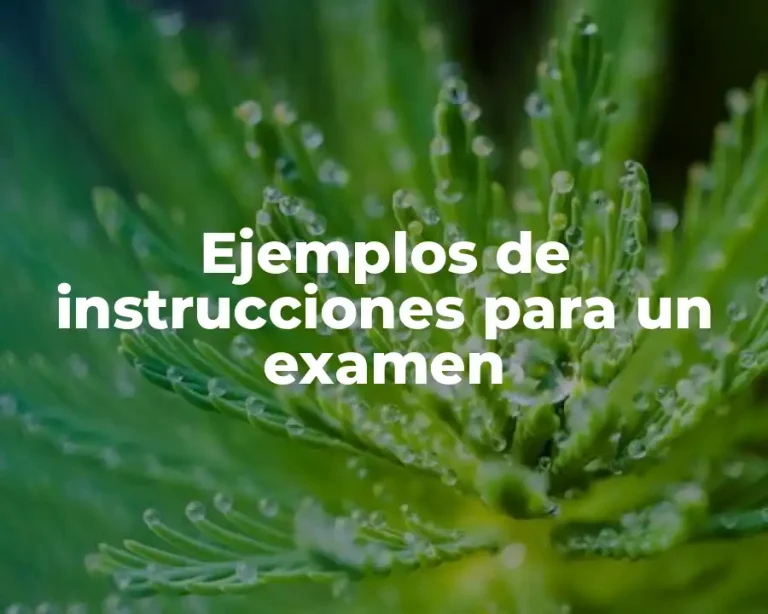 Ejemplos de instrucciones para un examen