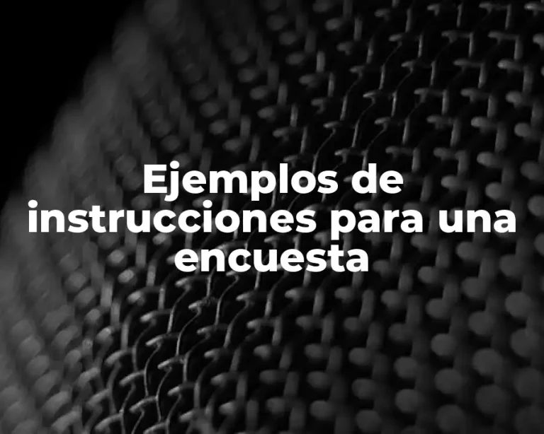 Ejemplos de instrucciones para una encuesta