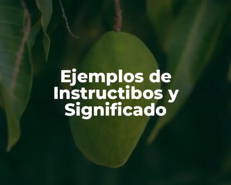 Ejemplos de Instructibos y Significado