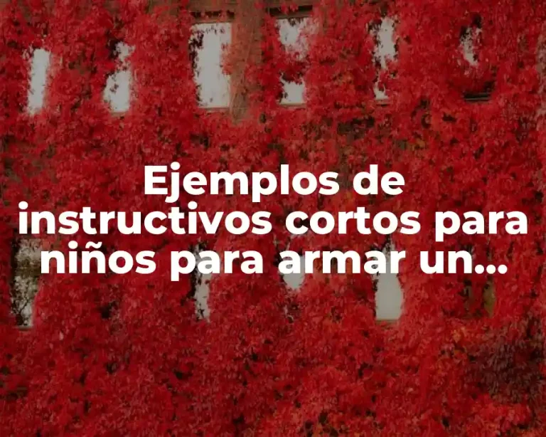 Ejemplos de instructivos cortos para niños para armar un juguete