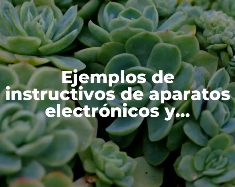 Ejemplos de instructivos de aparatos electrónicos y Significado
