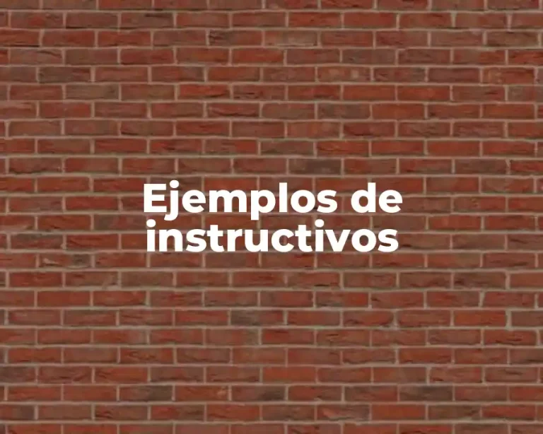 Ejemplos de instructivos