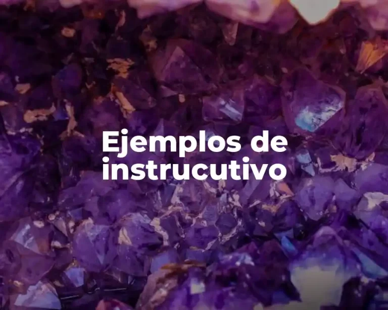 Ejemplos de instrucutivo
