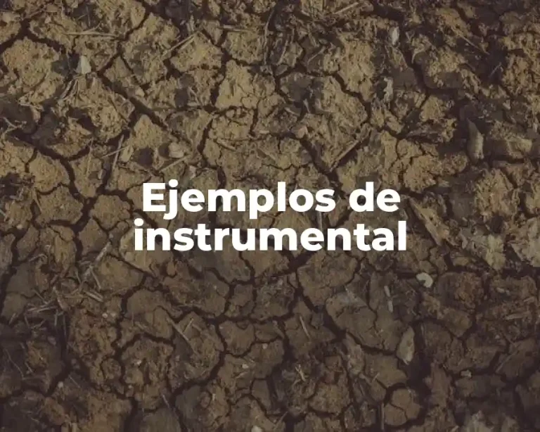 Ejemplos de instrumental