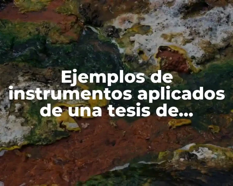 Ejemplos de instrumentos aplicados de una tesis de desercion escolar y Significado