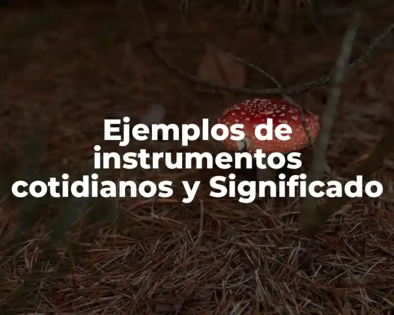 Ejemplos de instrumentos cotidianos y Significado