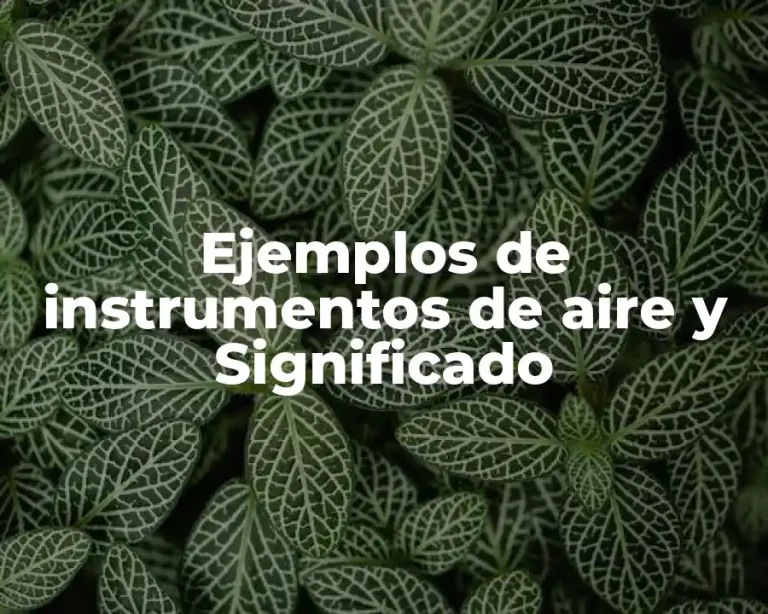 Ejemplos de instrumentos de aire y Significado