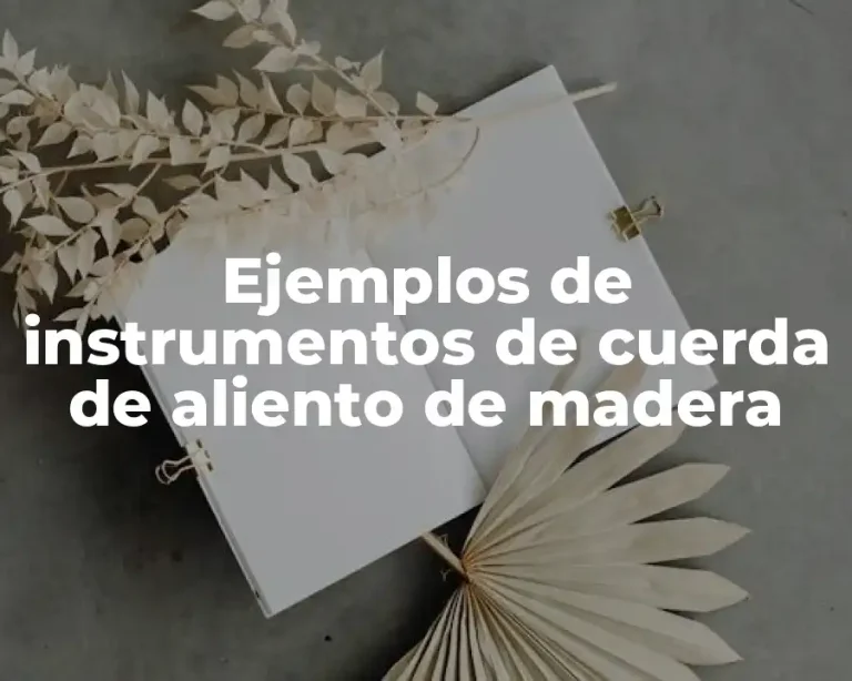 Ejemplos de instrumentos de cuerda de aliento de madera