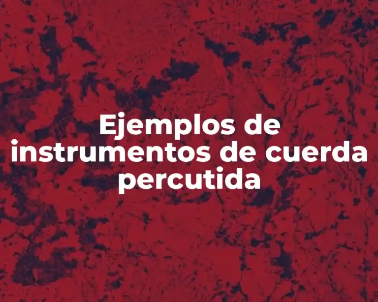 Ejemplos de instrumentos de cuerda percutida