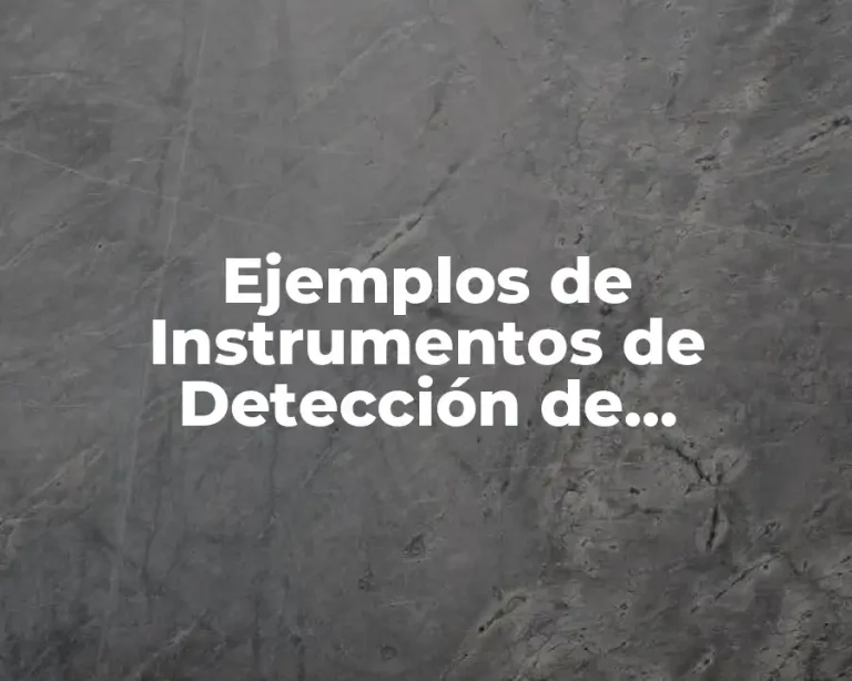 Ejemplos de Instrumentos de Detección de Necesidades de Capacitación