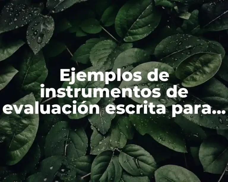 Ejemplos de instrumentos de evaluación escrita para un trabajador
