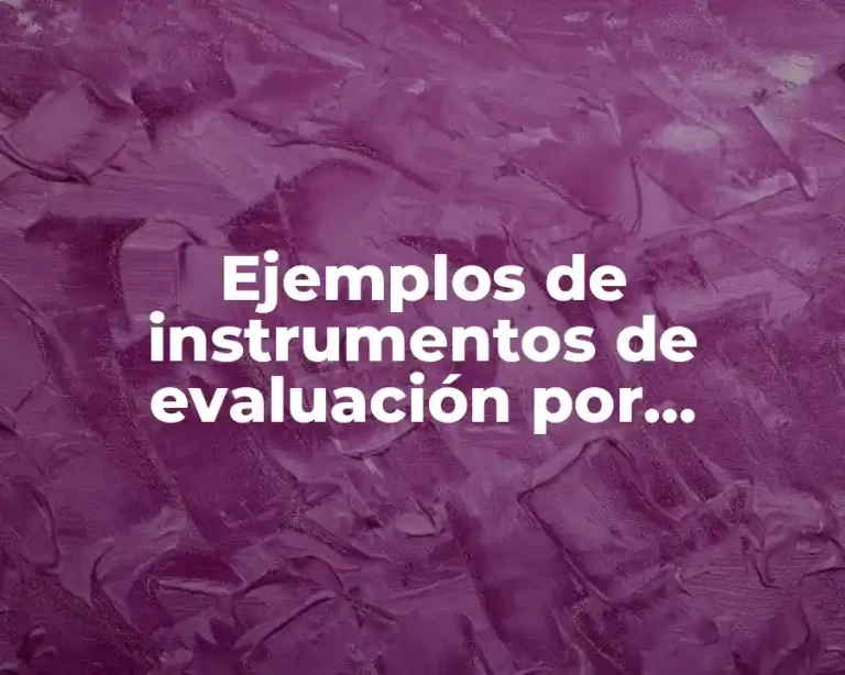 Ejemplos de instrumentos de evaluación por competencias