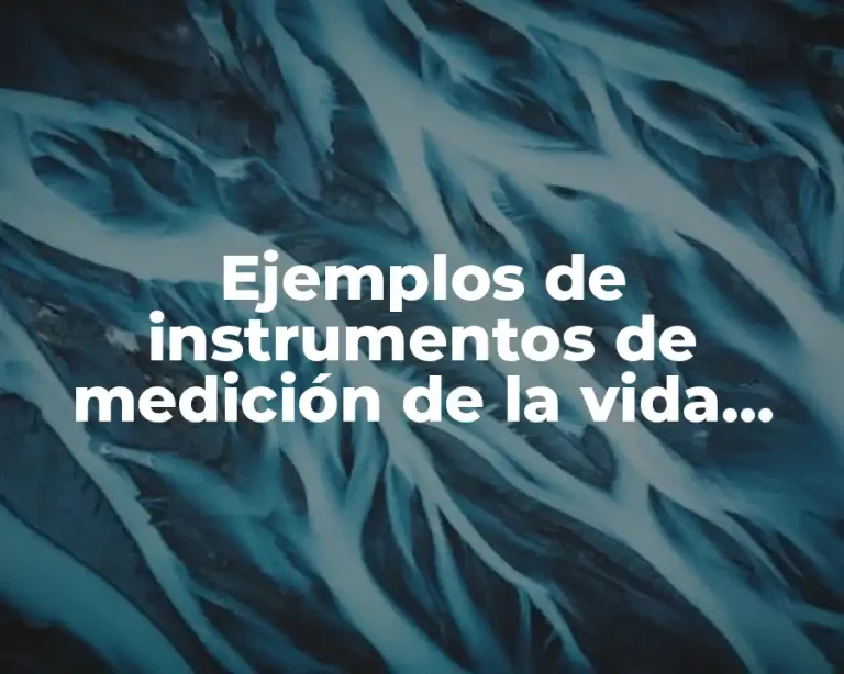 Ejemplos de instrumentos de medición de la vida cotidiana