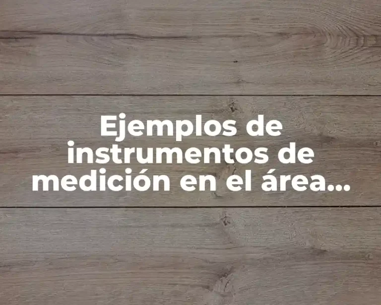 Ejemplos de instrumentos de medición en el área gastronómica