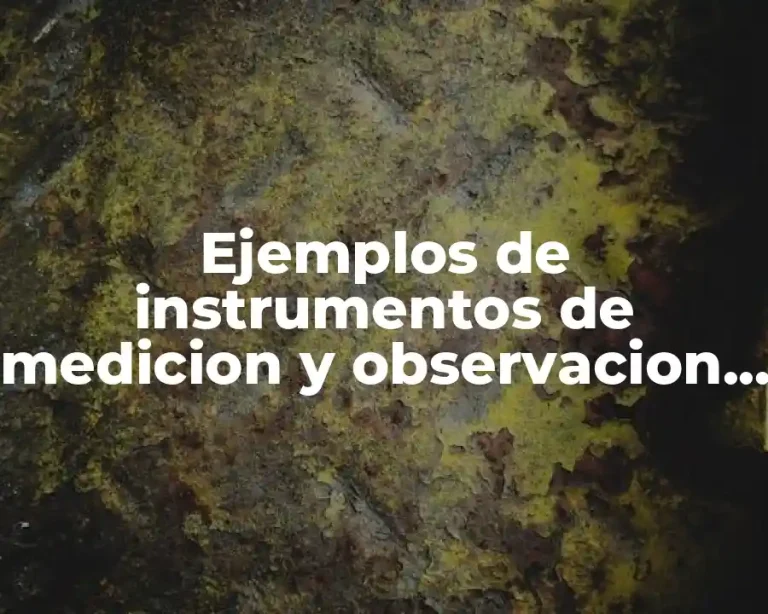 Ejemplos de instrumentos de medicion y observacion en fisica y Significado