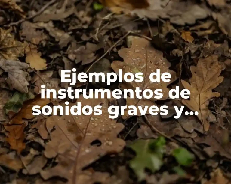 Ejemplos de instrumentos de sonidos graves y agudos