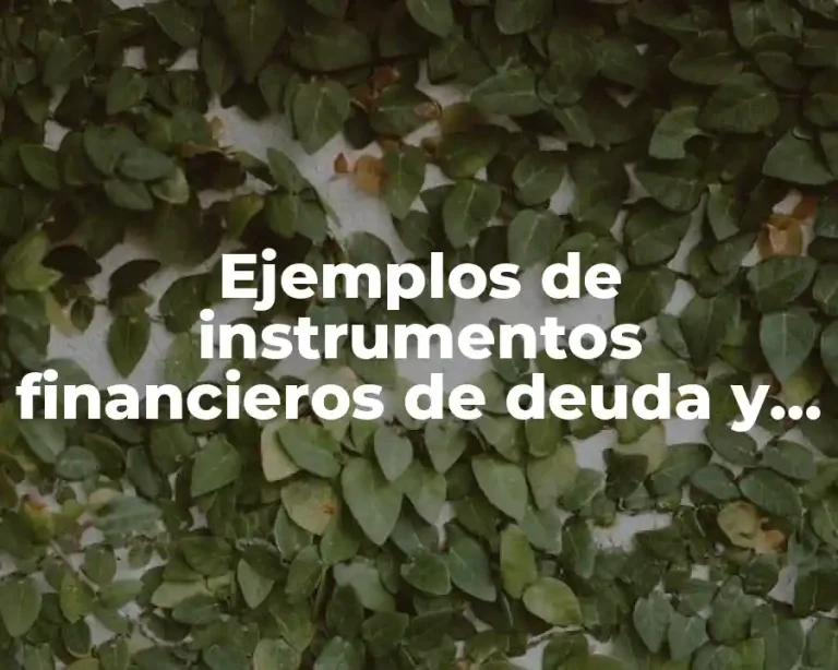 Ejemplos de instrumentos financieros de deuda y Significado