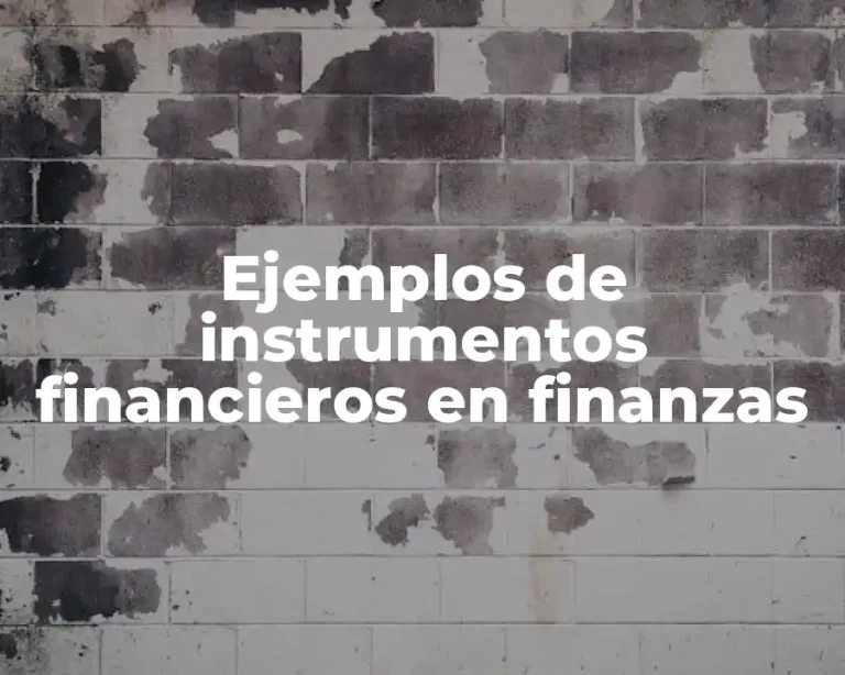 Ejemplos de instrumentos financieros en finanzas