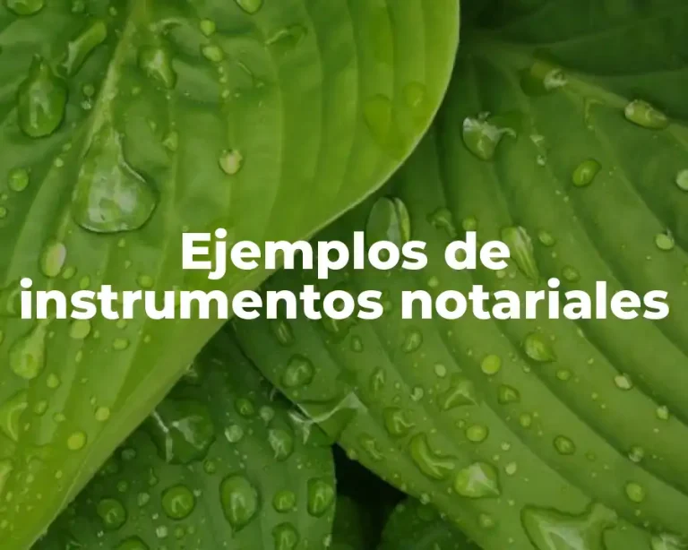 Ejemplos de instrumentos notariales