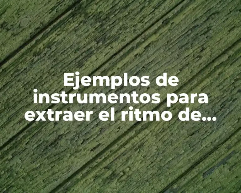 Ejemplos de instrumentos para extraer el ritmo de aprendizaje