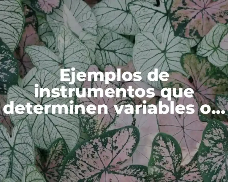 Ejemplos de instrumentos que determinen variables o parametros analogicos