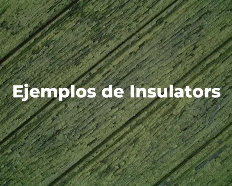 Ejemplos de Insulators