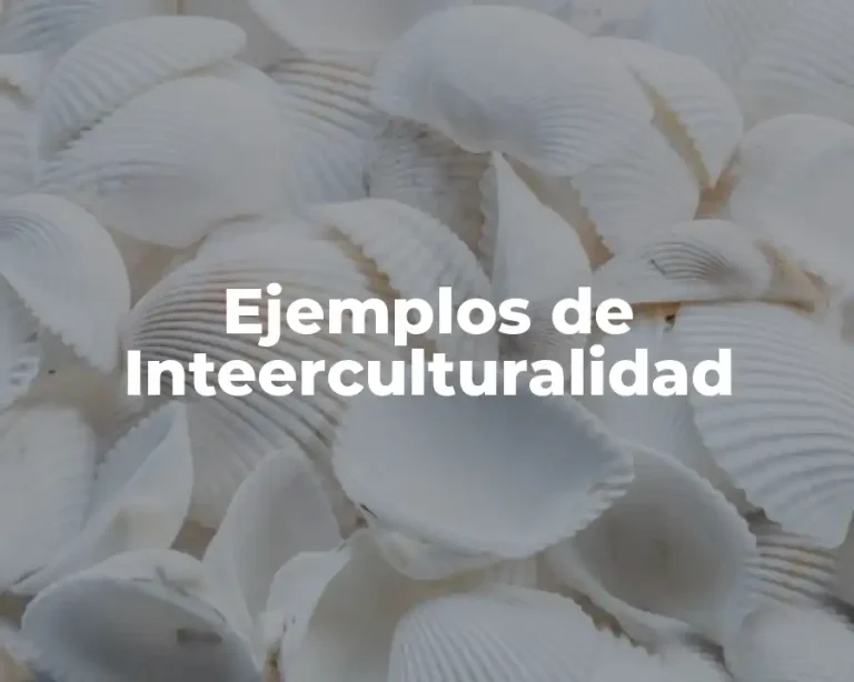 Ejemplos de Inteerculturalidad