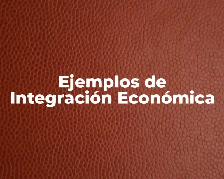 Ejemplos de Integración Económica