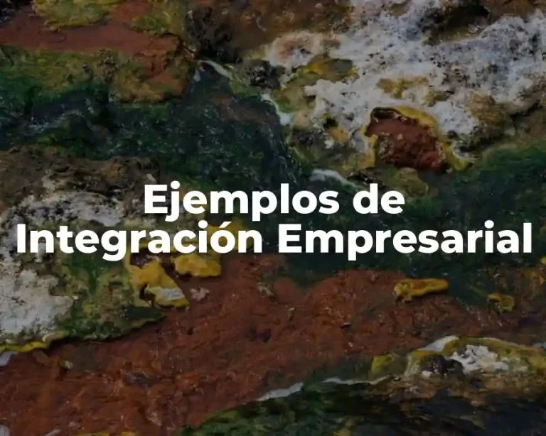 Ejemplos de Integración Empresarial