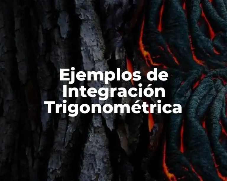 Ejemplos de Integración Trigonométrica