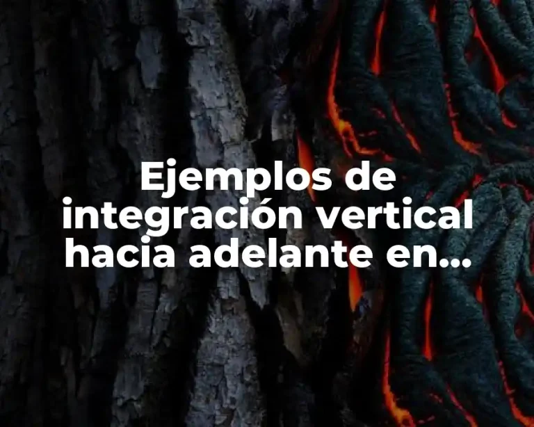 Ejemplos de integración vertical hacia adelante en Colombia y Significado