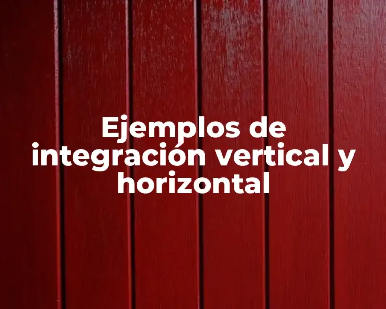 Ejemplos de integración vertical y horizontal