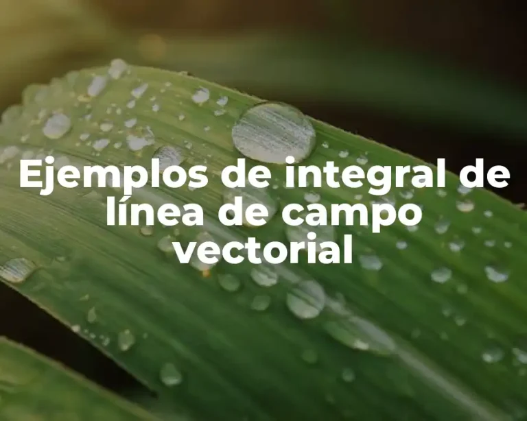 Ejemplos de integral de línea de campo vectorial