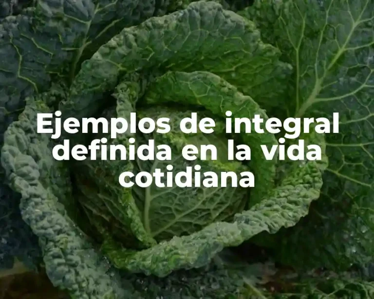 Ejemplos de integral definida en la vida cotidiana