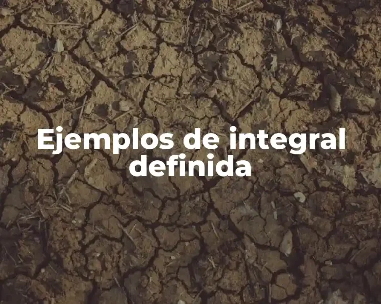 Ejemplos de integral definida