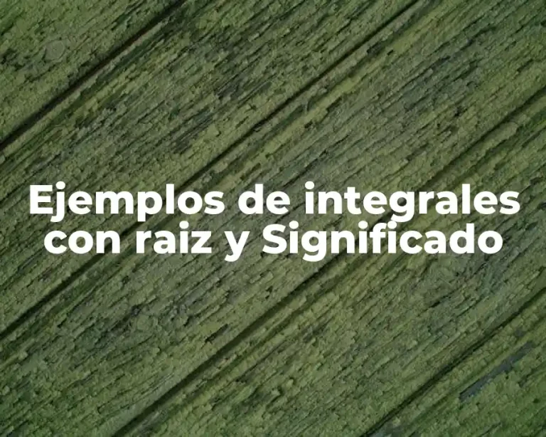 Ejemplos de integrales con raiz y Significado