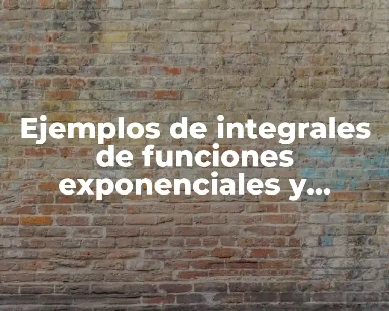Ejemplos de integrales de funciones exponenciales y Significado