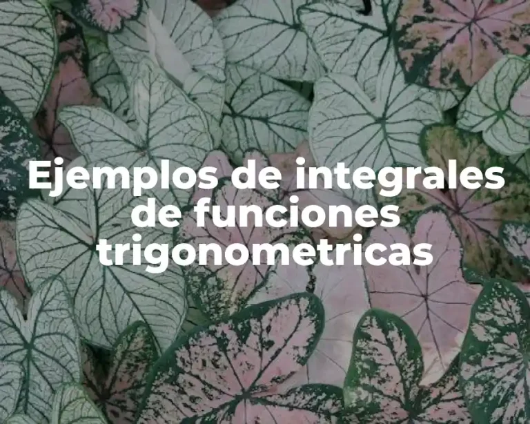 Ejemplos de integrales de funciones trigonometricas